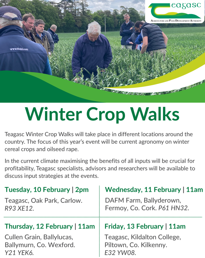 Winter crop walk flyer